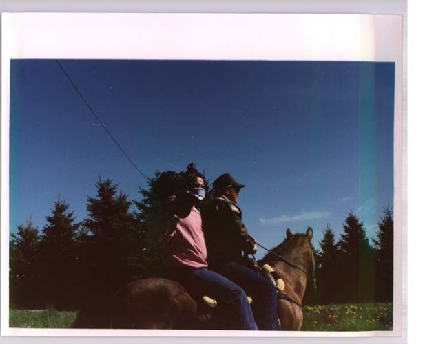 two people on the back of a horse
