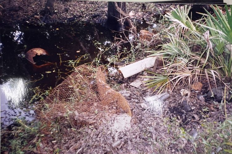 debris at a creekside