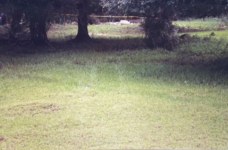 patch of grass at a crime scene