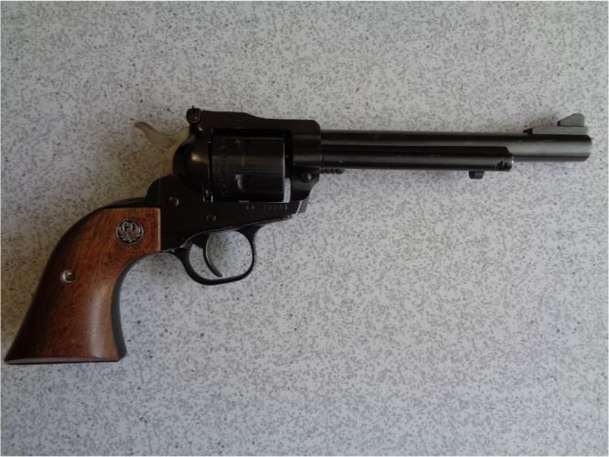 Ruger 22 Revolver