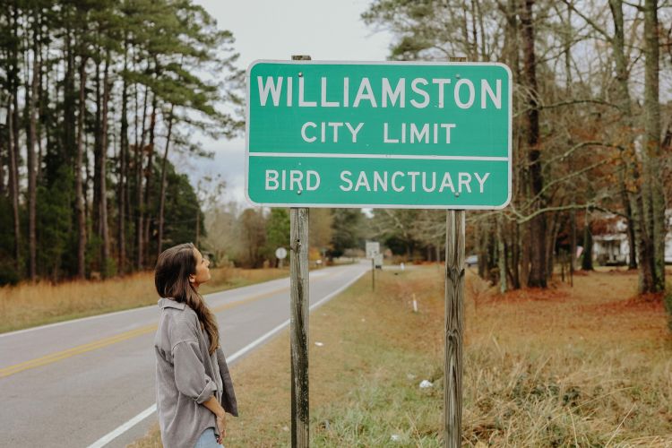 Williamston City Limits Sign