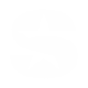 SiriusXM Icon